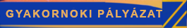 Gyakornoki plyzat